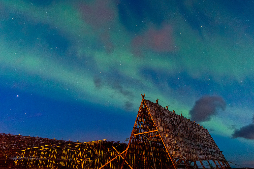 Northern Lights II by lara_