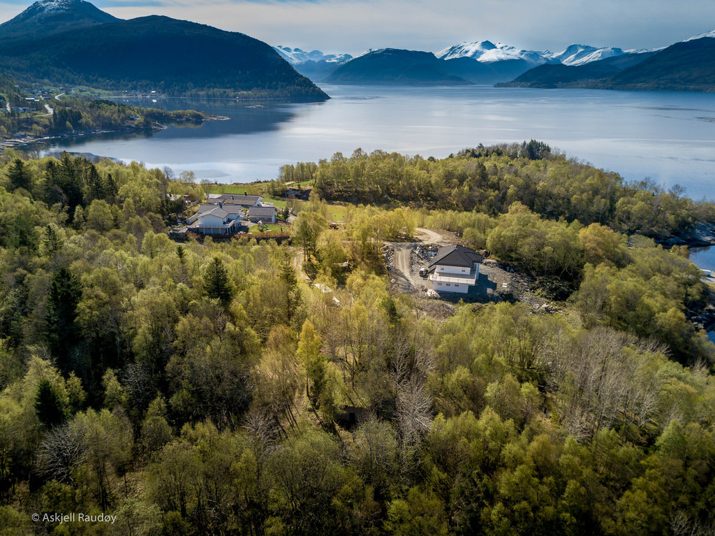 Berknes by Askjell DJI Mavi