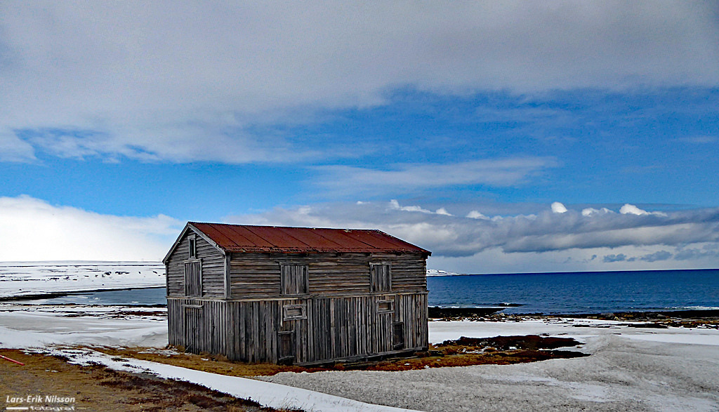 On the road between Vadsö