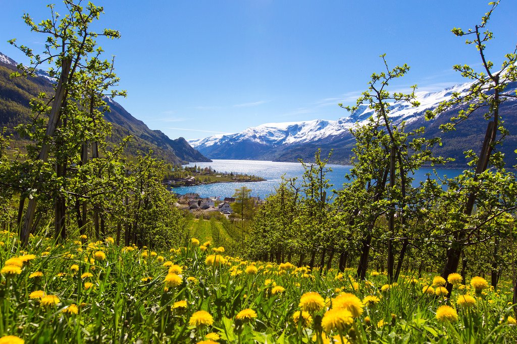 Hardanger spring by kjelljo