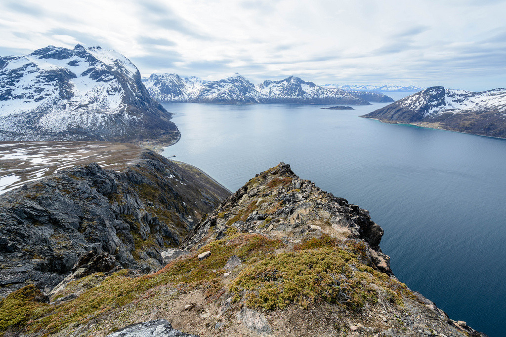 Spring in the north by Terj
