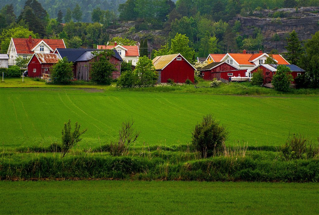 Countryside Composition by