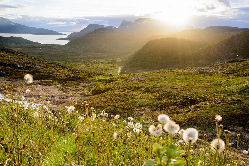 Midnightsun in Tromsø by T