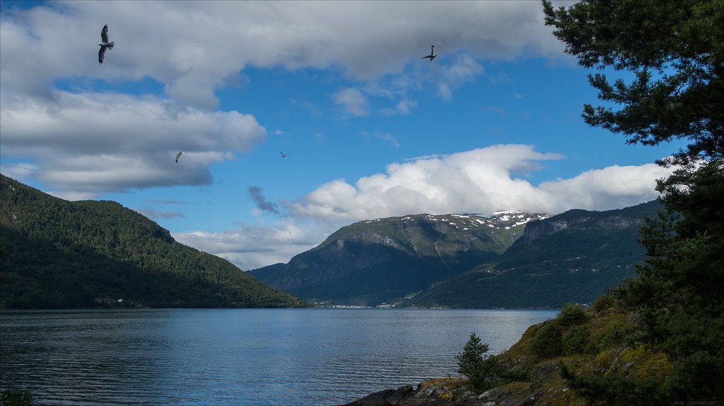 8851 – Sognefjorden view by