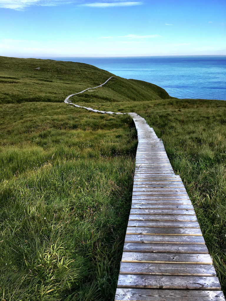 Stien -|- The path by erlin