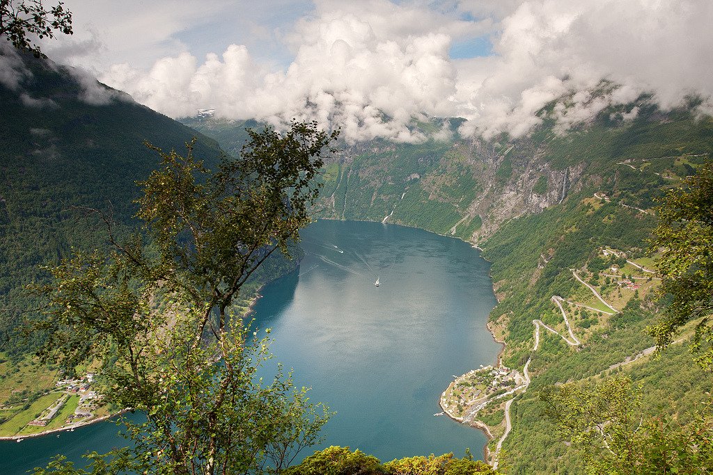 Geirangerfjord with Birch b