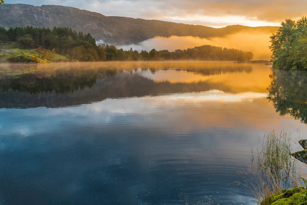 The golden morning fog! by