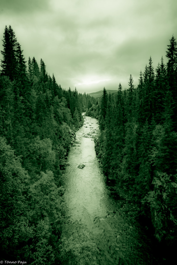 River by Tõnno Paju  <a hr