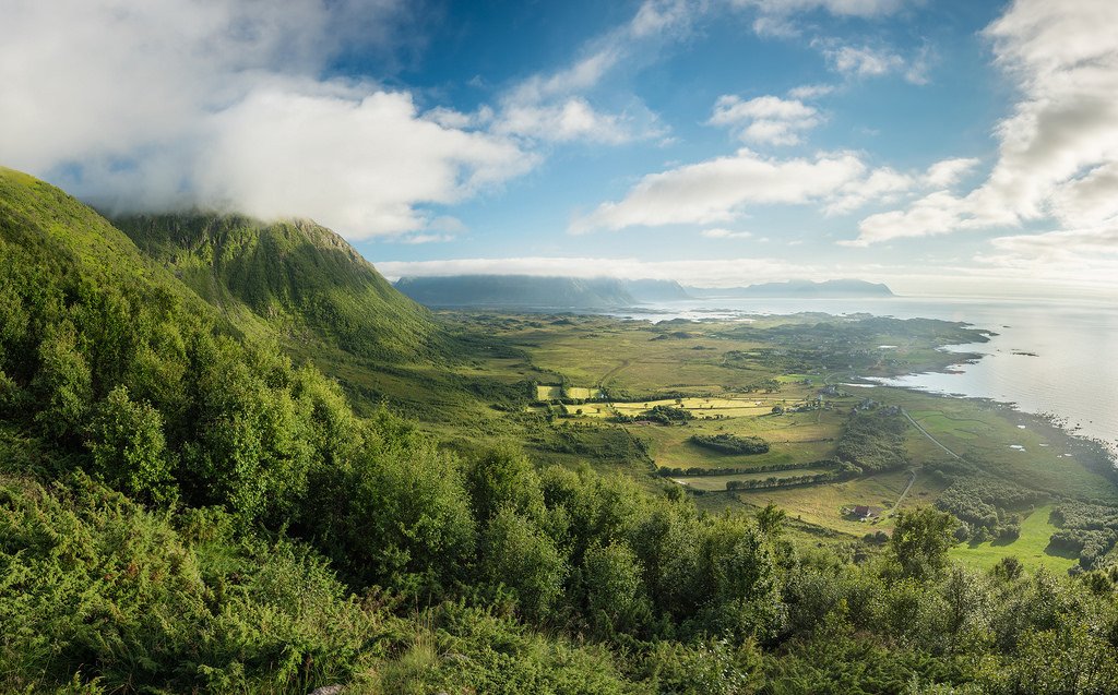 Lofoten Green by eriknst A