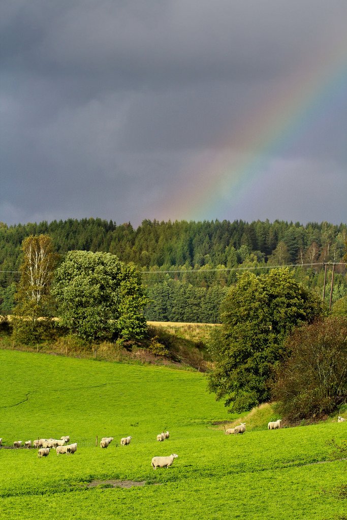 Rainbow in Rokke by Skau Ha