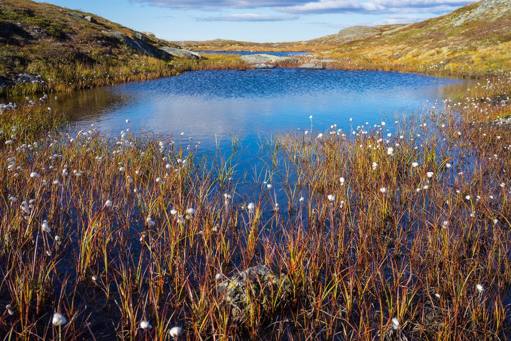 Small pond in the mountains