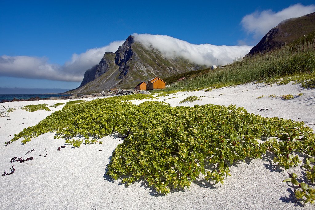 Vikten Beach with Grass and