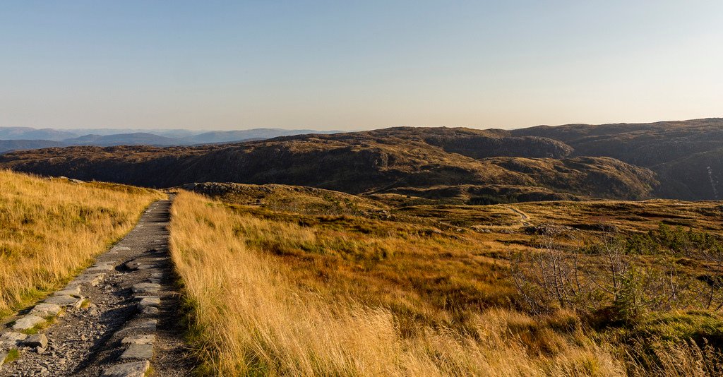 Autumn road by Sturla Sæth