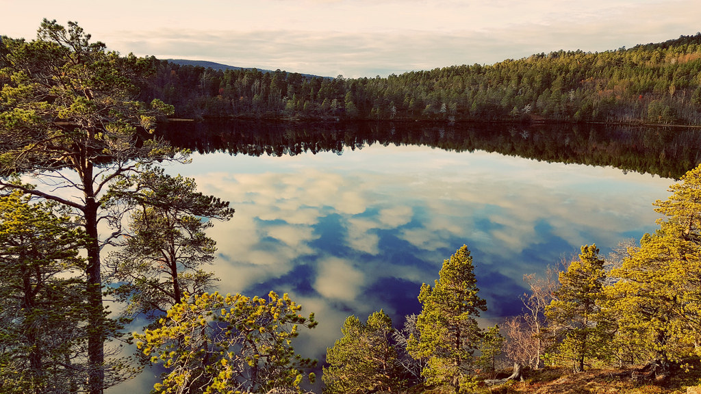 In Norway by pachakhwaja  <