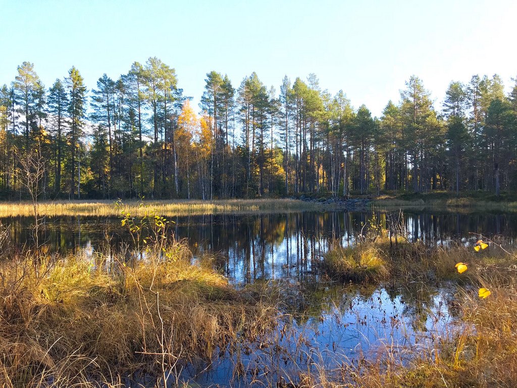 Klopptjernet, Reinsvoll/Nor