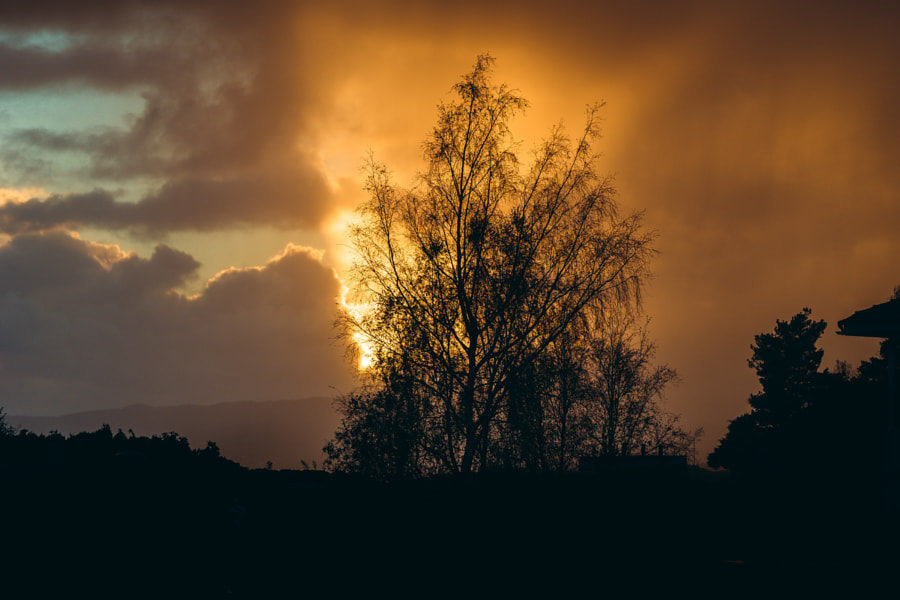 Silhouetteset by Haraldinhi