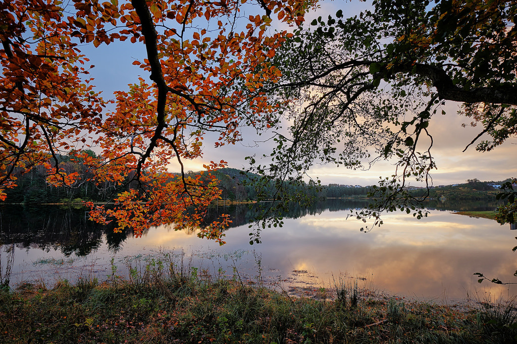 Tranquility, Norway by Vest