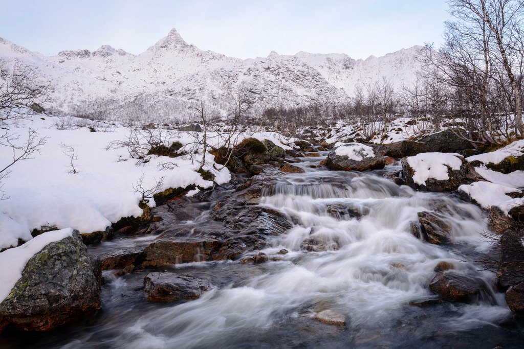 Winter by the river by Terj