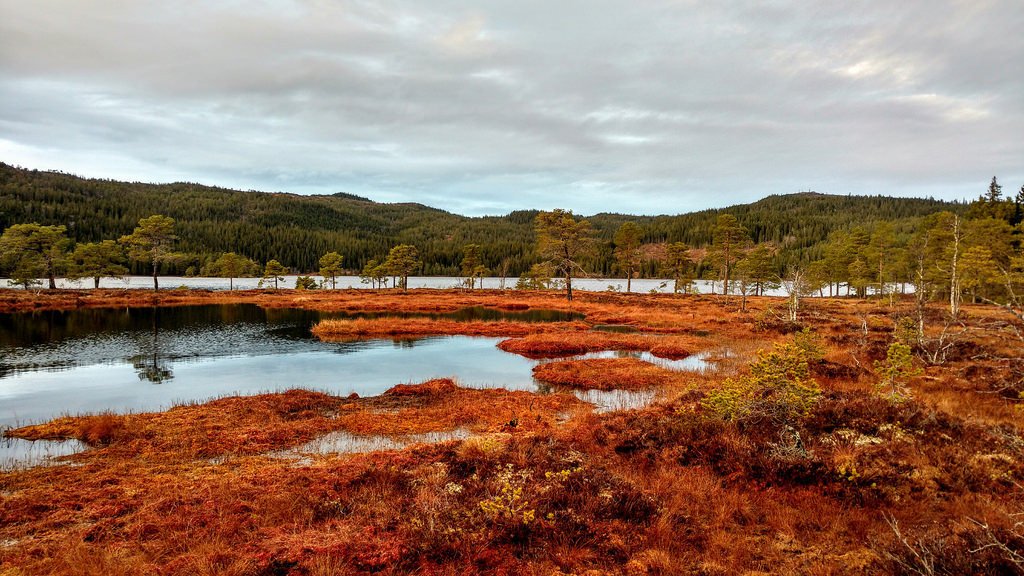 Hike to Storheia #trondheim