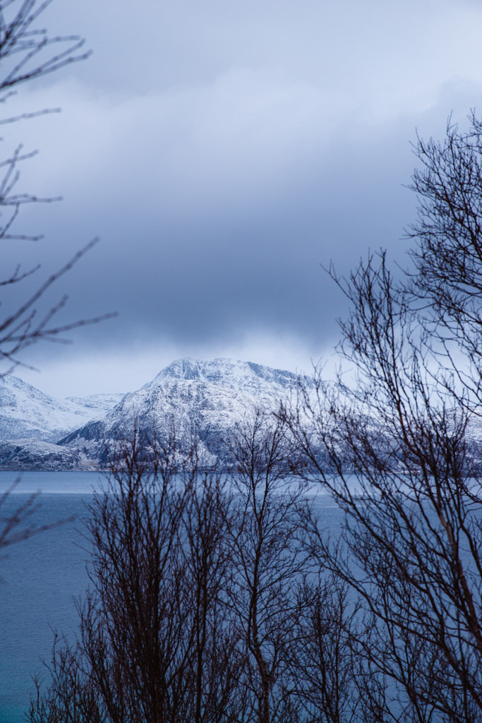 Fjordvegen by French_landsc