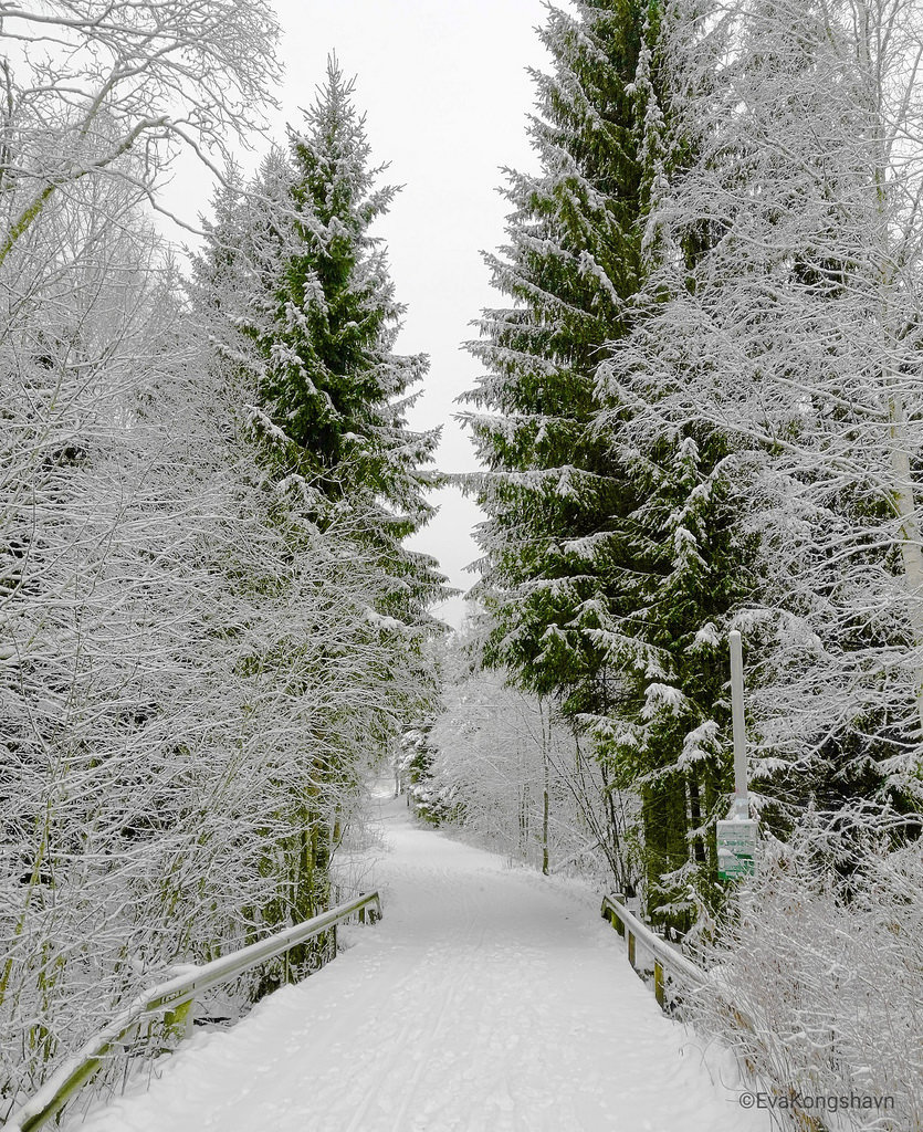 Winter can look like this t