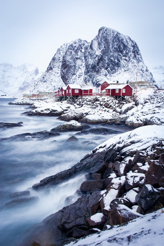 Reine by Rani Joensen I jus