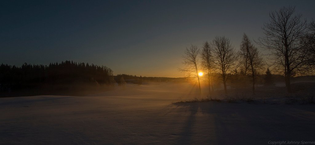 Cold morning at the golf co