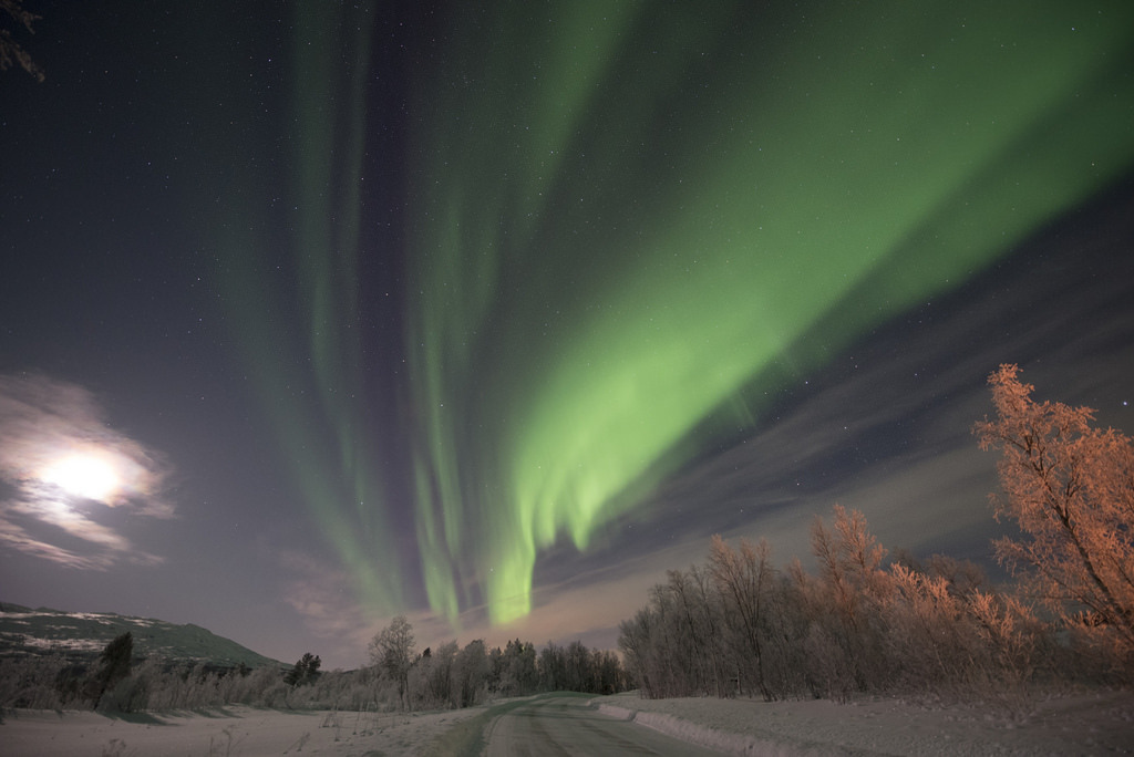 Aurora Borealis by neilharr