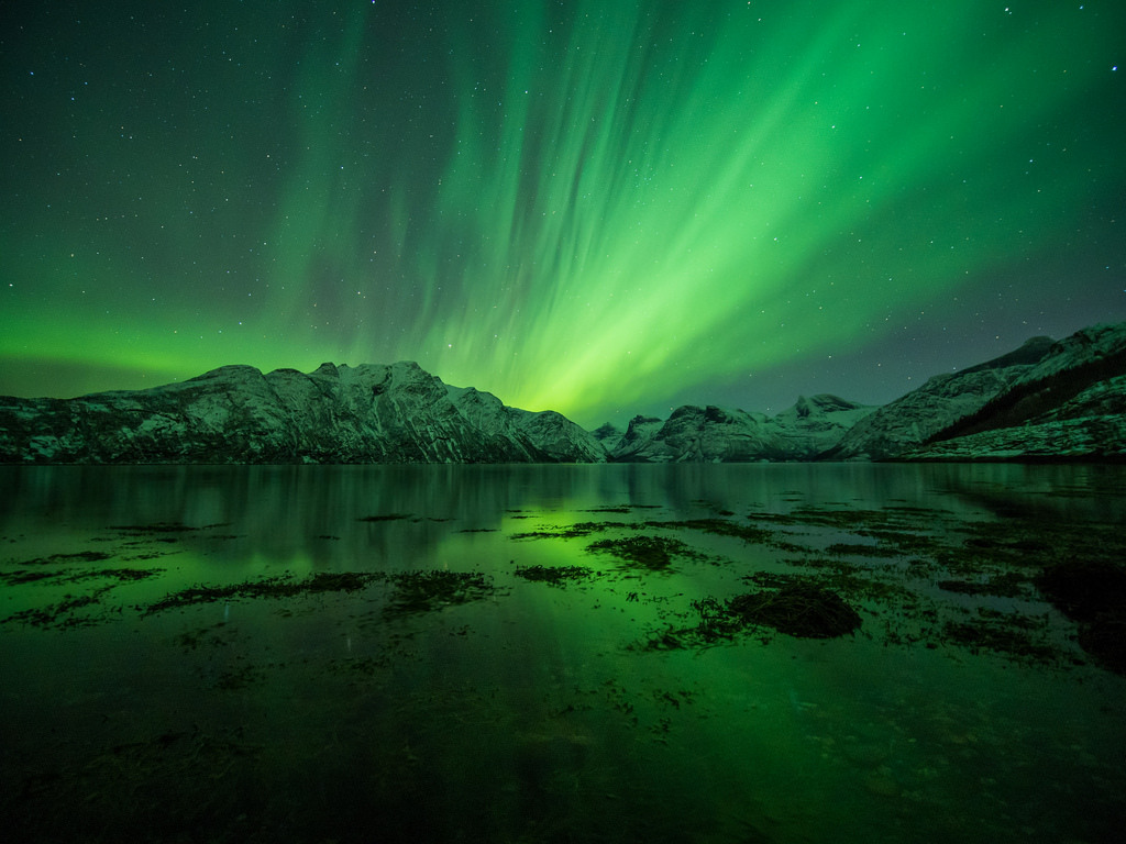 The northern light dances o