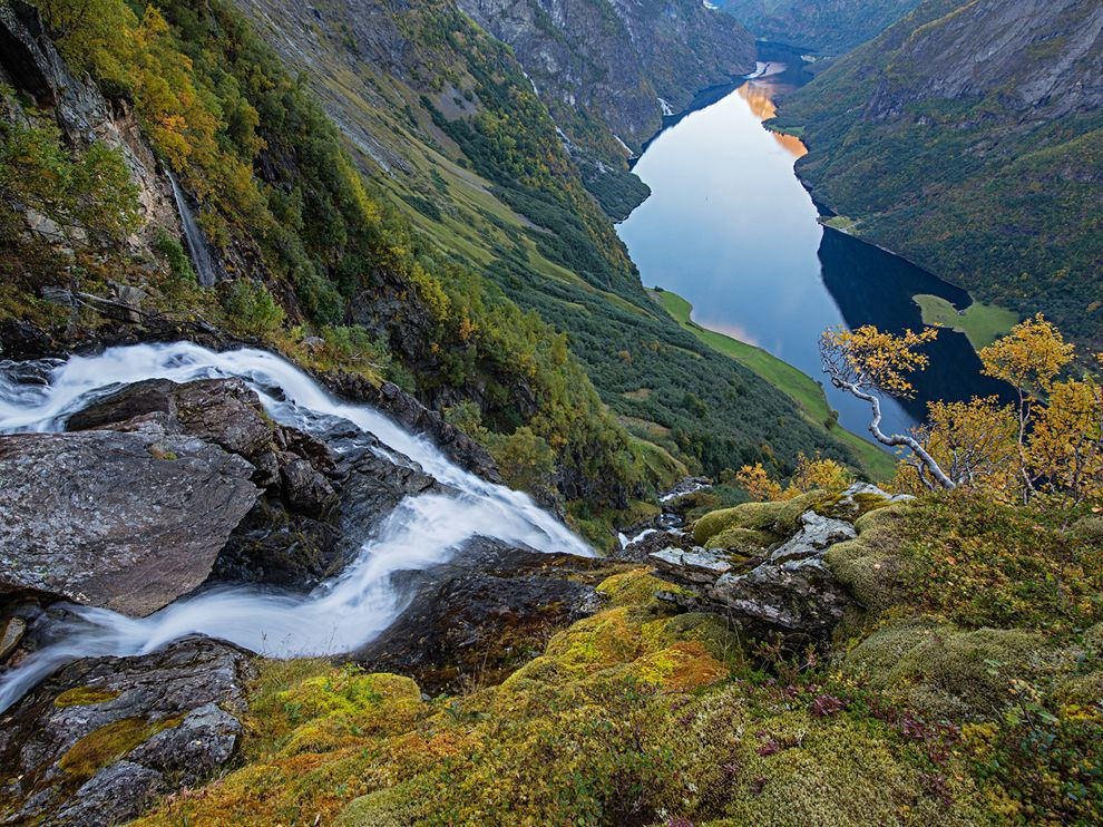 Fjord Norway Haarberg x L b