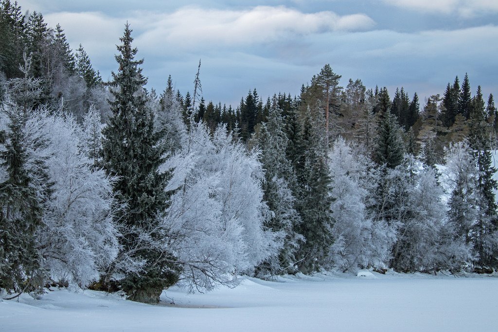 Ausetvatnet, Stjørdal Norw