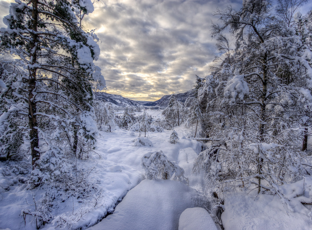 Vikedal by Leif Bråtveit