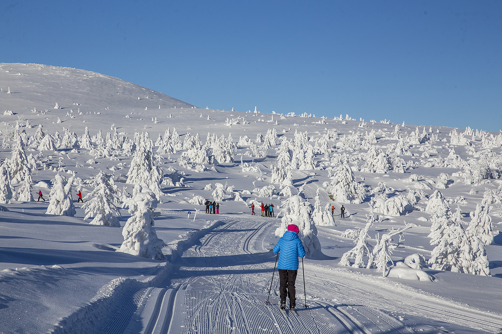 Natural snow sculptures by