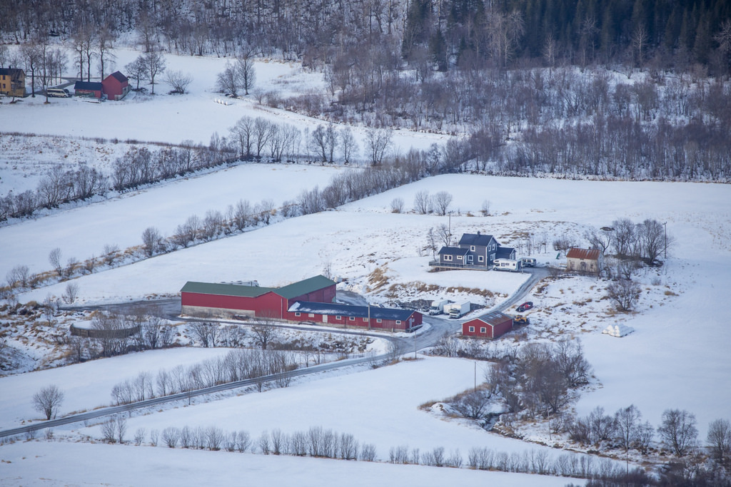 Winter in farmland by G E N