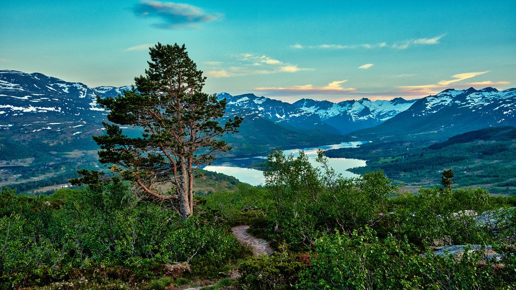 Fausateighornet mot Nysæte