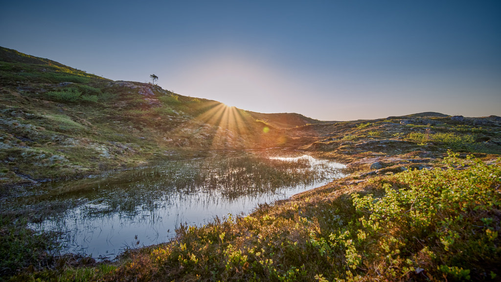 Ved Fausateighornet 29.05.1