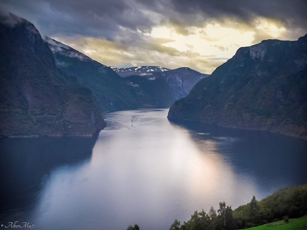 Norway collection by Albert