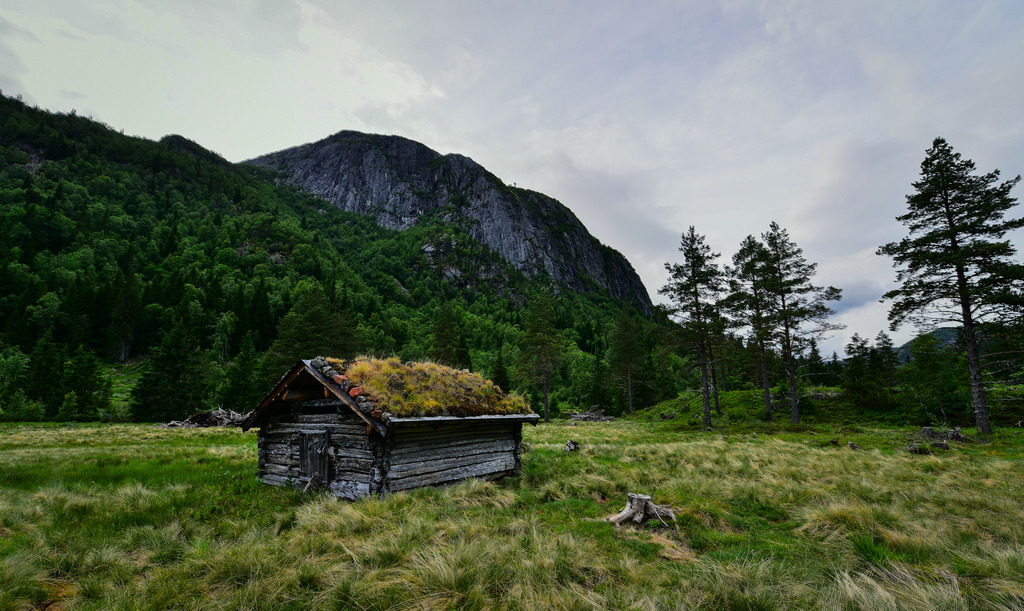 Hylesdalen Valle 150618 by