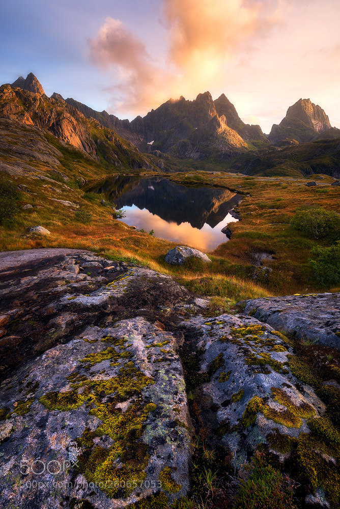 Summer in Norway