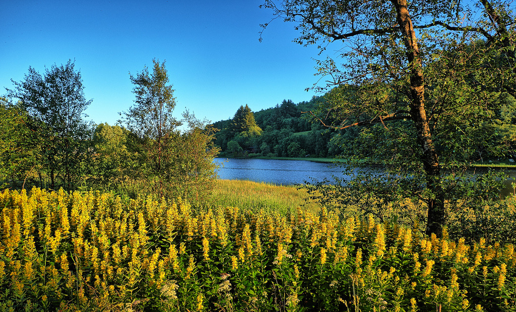 Colours of summer, Norway b