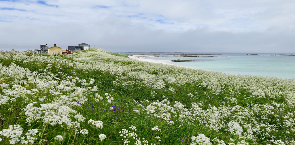 Lofoten Islands, Norway by