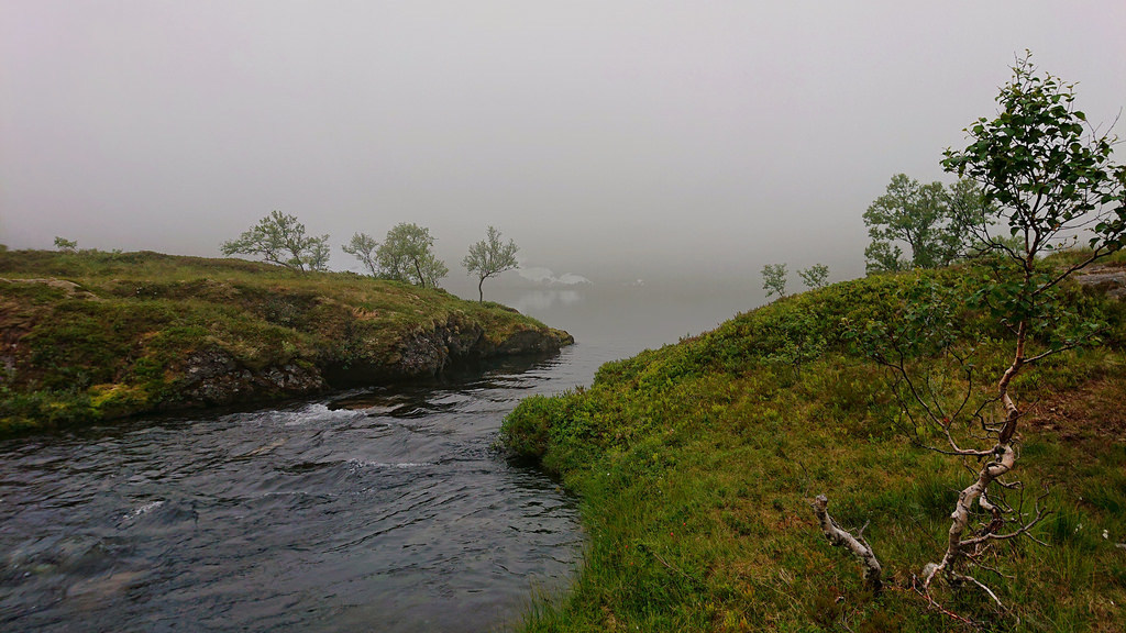 Regndalsvatnet i tåkegrens