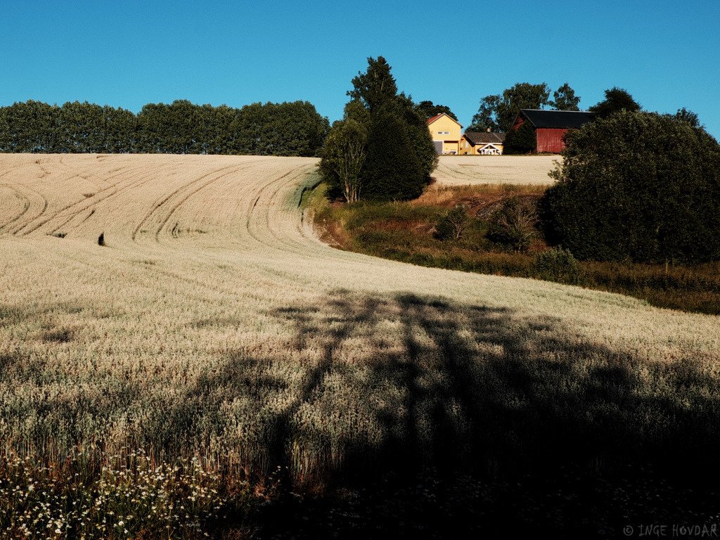 Longer shadows falling