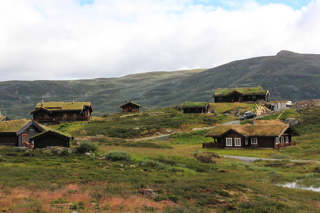 Grass roofed cabins in Norw