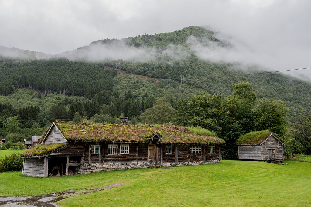 DSC_0795 by D.R..