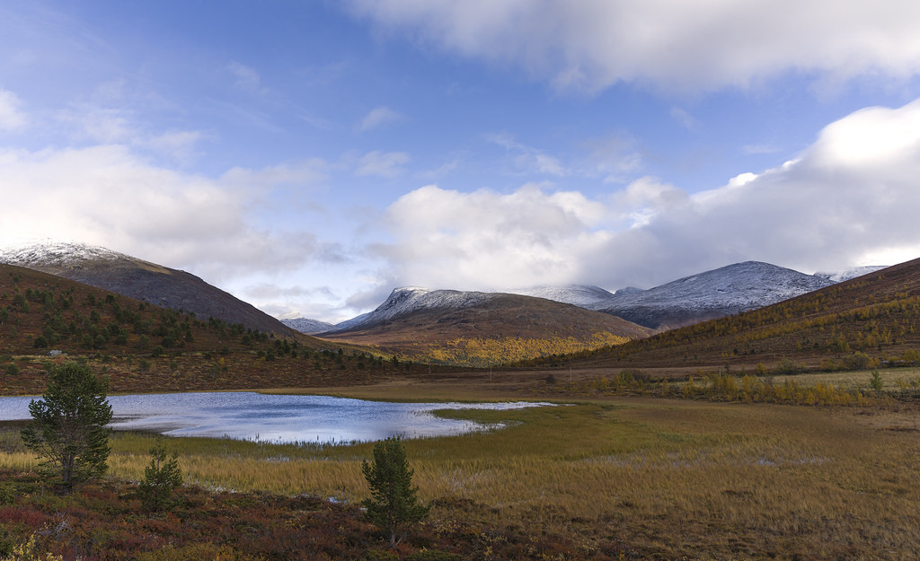 Norwegian fall colors by ts