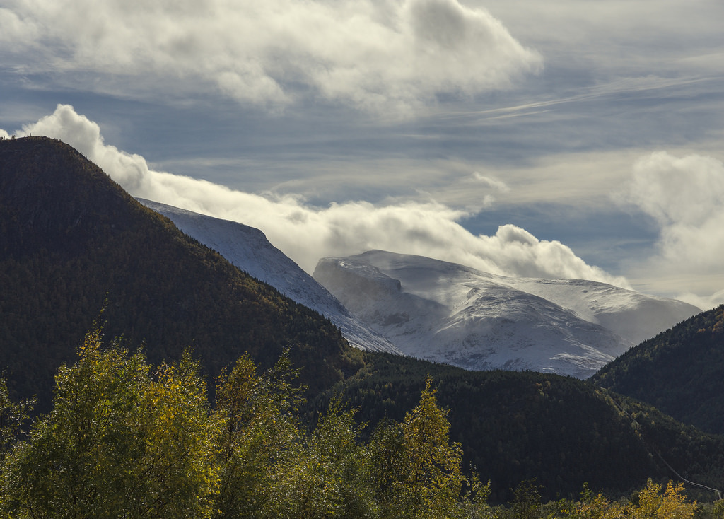 Norwegian fall colors by ts