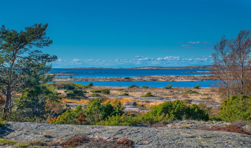 Coastal View by bjorbrei As