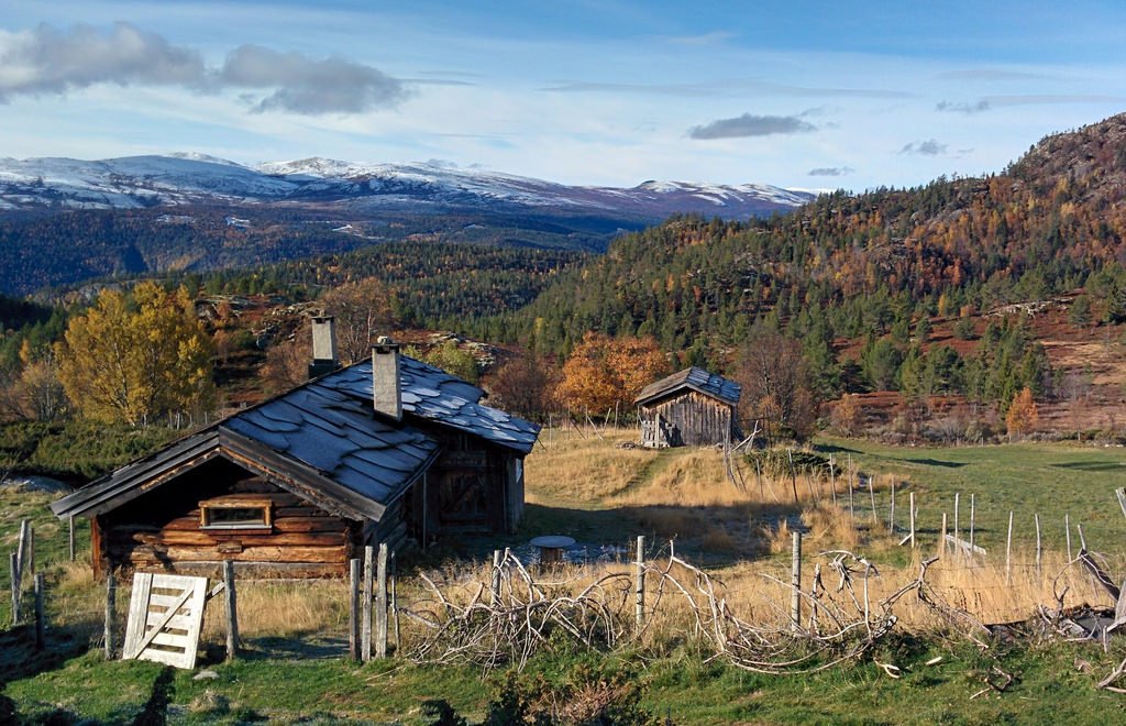 Autumn in Norway by Dybsoe