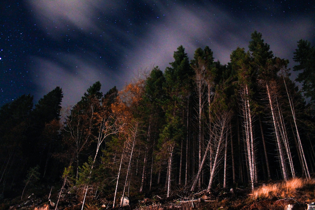 Nordfjordeid Night by gazi_
